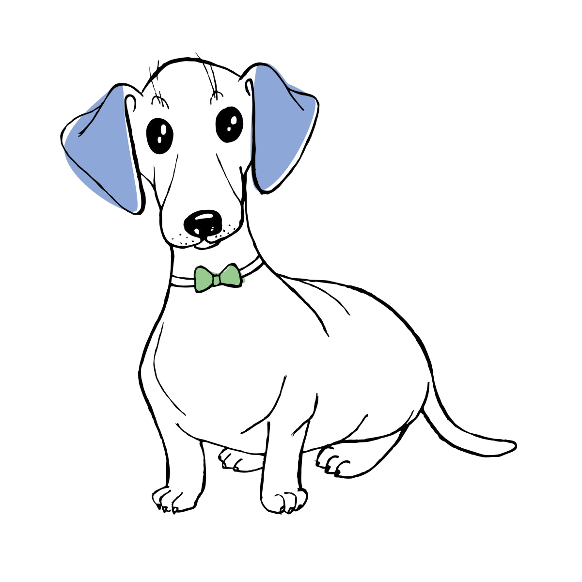 Bílé UNISEX tričko Perro